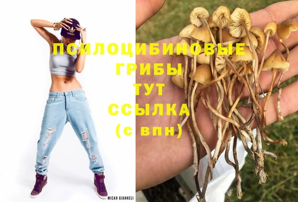 ешки Переславль-Залесский