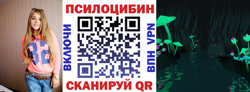 цена наркотик  Киреевск  Галлюциногенные грибы Psilocybe 