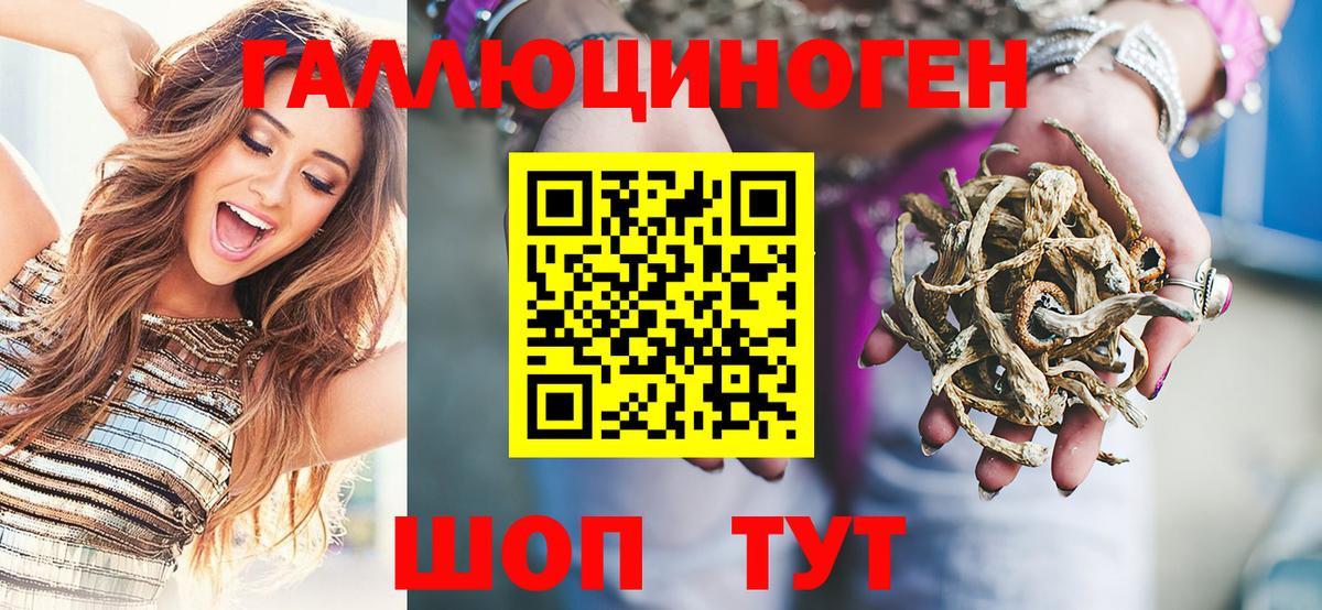 Киреевск  Псилоцибиновые грибы прущие грибы  Вход с VPN 
