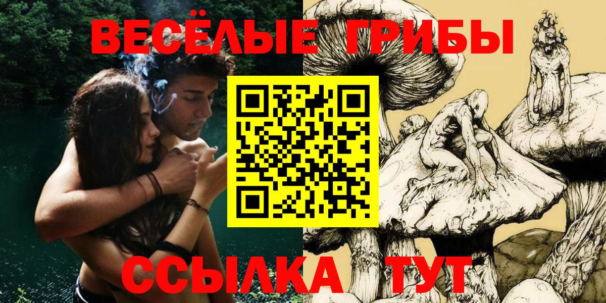 Галлюциногенные грибы мицелий Киреевск