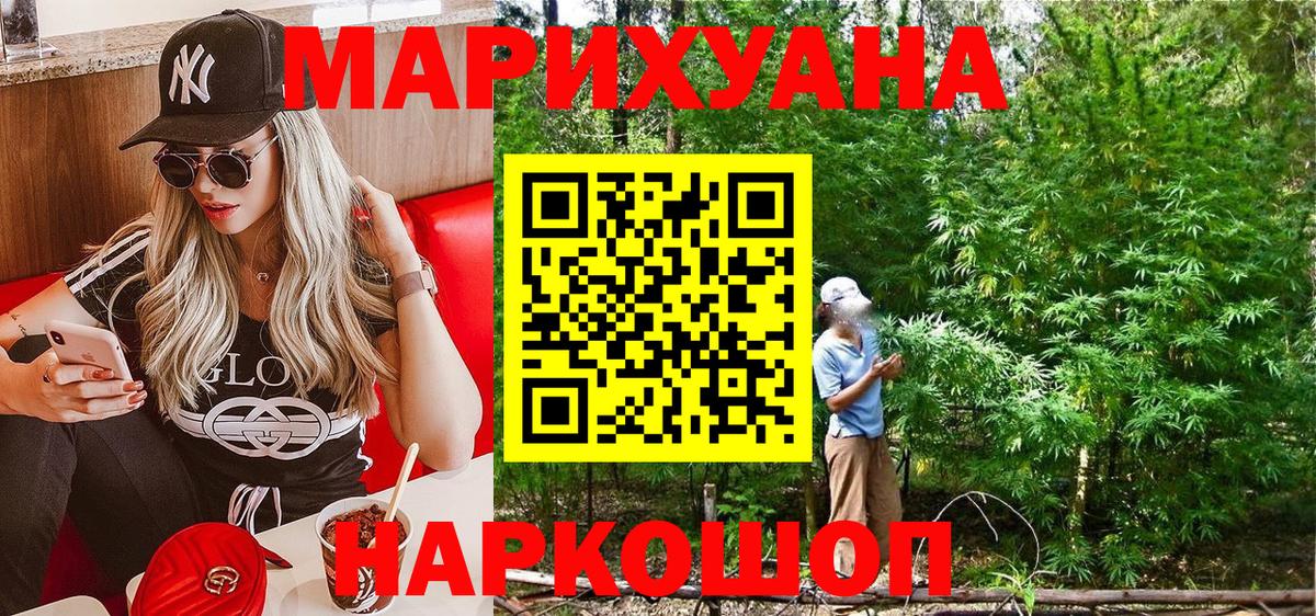 Каннабис индика  Киреевск  Каннабис ГИДРОПОН  Конопля конопля 